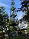 71: 2021-10-01 Herfstwandeling (5A+5B)_00071