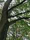 13: 2021-10-14 Herfstwandeling (K1+K2)_00013
