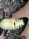 14: 2021-10-14 Herfstwandeling (K1+K2)_00014