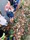 22: 2021-10-14 Herfstwandeling (K1+K2)_00022
