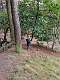 60: 2021-10-14 Herfstwandeling (K1+K2)_00060