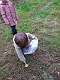 69: 2021-10-14 Herfstwandeling (K1+K2)_00069
