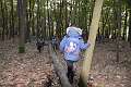 7: 2022-10-11 Herfstwandeling - op zoek naar de bosbewoners (K5)_00007