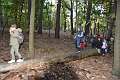 8: 2022-10-11 Herfstwandeling - op zoek naar de bosbewoners (K5)_00008
