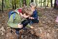 10: 2022-10-11 Herfstwandeling - op zoek naar de bosbewoners (K5)_00010