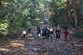 14: 2022-10-11 Herfstwandeling - op zoek naar de bosbewoners (K5)_00014