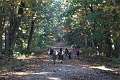 15: 2022-10-11 Herfstwandeling - op zoek naar de bosbewoners (K5)_00015