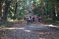 16: 2022-10-11 Herfstwandeling - op zoek naar de bosbewoners (K5)_00016