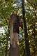 18: 2022-10-11 Herfstwandeling - op zoek naar de bosbewoners (K5)_00018