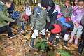 20: 2022-10-11 Herfstwandeling - op zoek naar de bosbewoners (K5)_00020