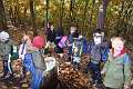 33: 2022-10-11 Herfstwandeling - op zoek naar de bosbewoners (K5)_00033
