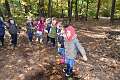 40: 2022-10-11 Herfstwandeling - op zoek naar de bosbewoners (K5)_00040