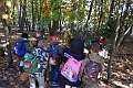 44: 2022-10-11 Herfstwandeling - op zoek naar de bosbewoners (K5)_00044
