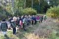 50: 2022-10-11 Herfstwandeling - op zoek naar de bosbewoners (K5)_00050