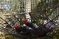 79: 2022-10-11 Herfstwandeling - op zoek naar de bosbewoners (K5)_00079