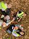 73: 2022-10-28 Wandeling (6A+B)_00073