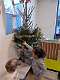 9: 2022-12-19  Kerstmis in K1 + verjaardag Gitte en Milo_00009