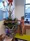10: 2022-12-19  Kerstmis in K1 + verjaardag Gitte en Milo_00010